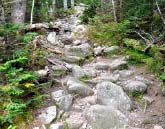 A dry rocky creek
