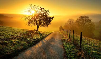 Road to Sunrise