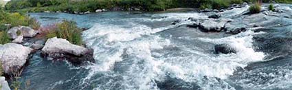 Rapids
