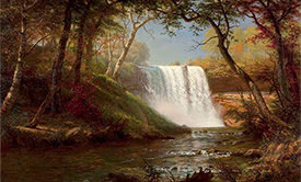 A waterfall and the woods