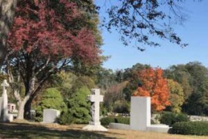Headstones Near Trees