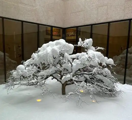 Snowy Day