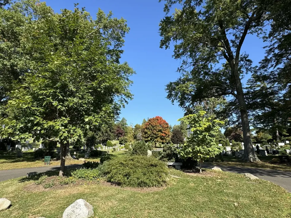 St Mary-Putnam Cemetery