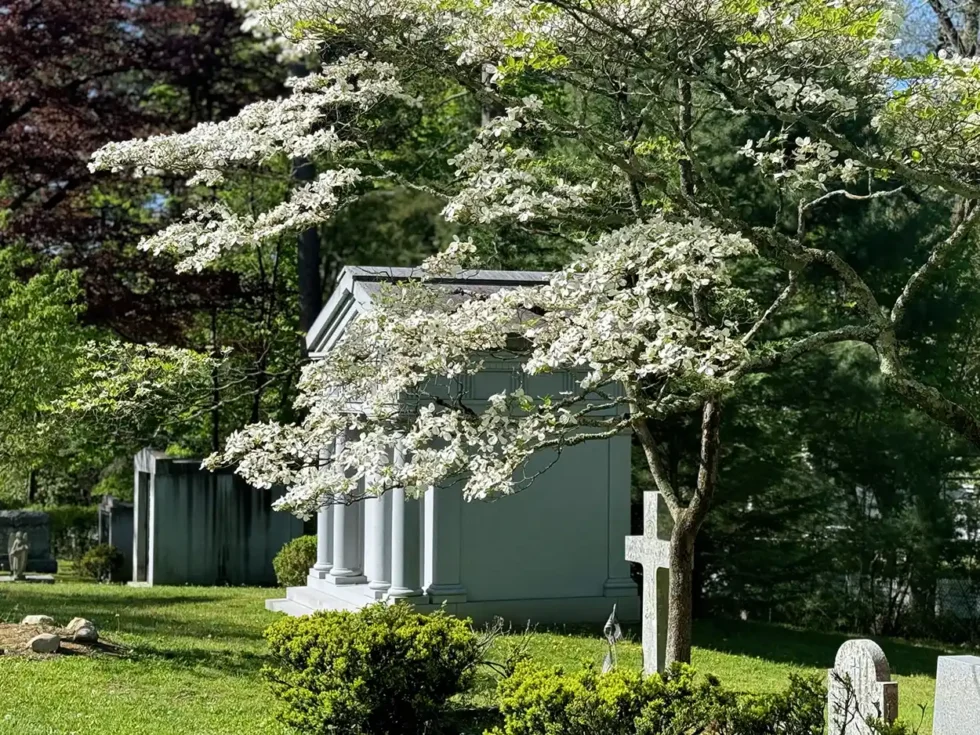 St Mary-Putnam Cemetery