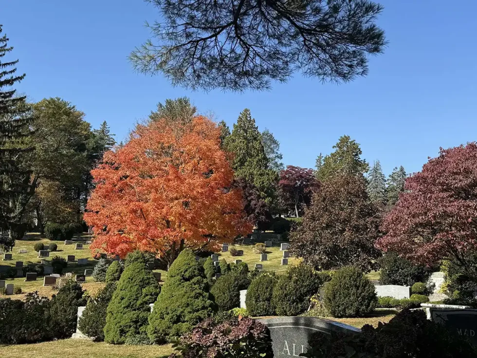 St Mary-Putnam Cemetery