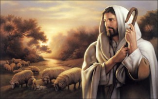 Shepard Jesus