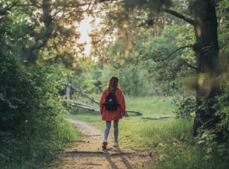Woman Hiking In Forest