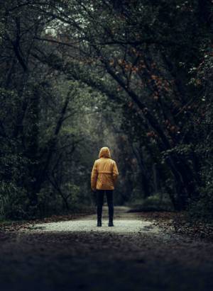 Person Surrounded By Trees