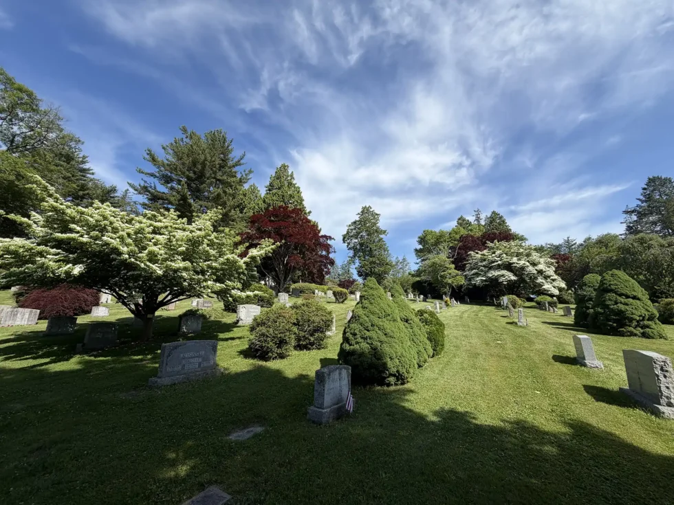 St Mary Cemetery Spring 2026