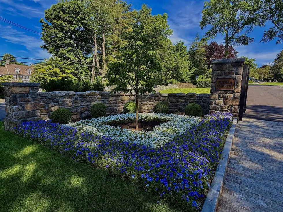 St Mary Cemetery Spring 2026