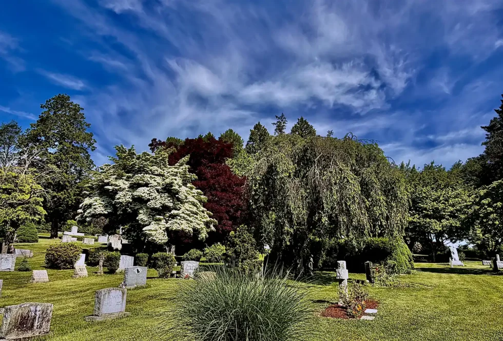 St Mary Cemetery Spring 2026