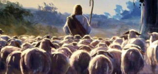 Jesus the Shepard