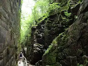 Beautiful Trail
